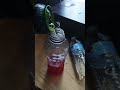 why did it have to spill #monsterenergy #poweraid #spill