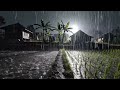 Heavy Rain and Wind at Night in Countryside Rice Fields Near a Lonely Hut Nature ASMR 875