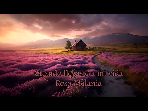 Cuando llegaste a mi vida