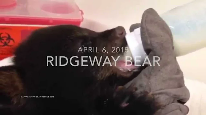 Ridgeway and Bonnie Blue- Eating- April 6, 2015