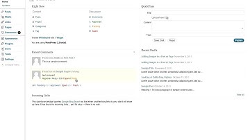 The WordPress org Dashboard  - How to Use WordPress