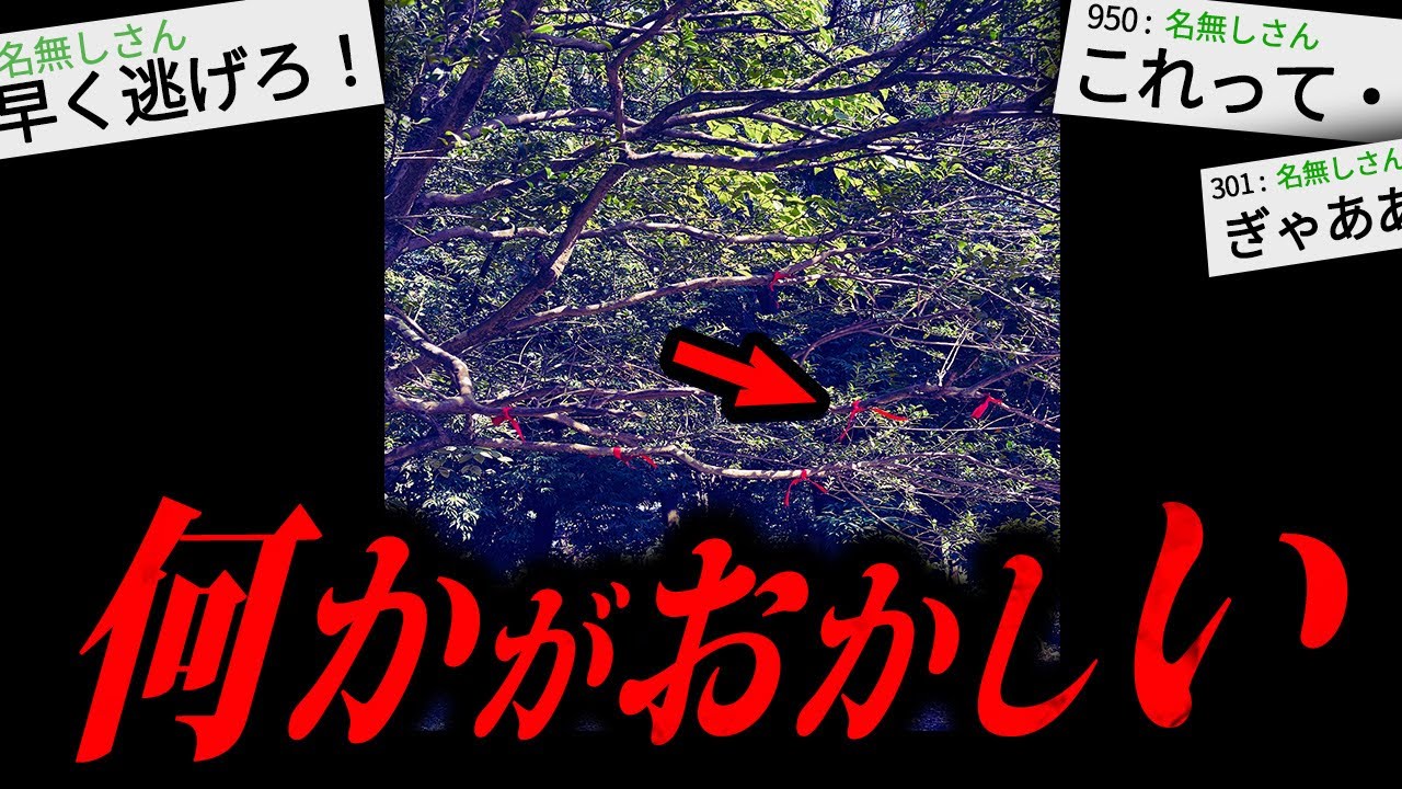 【閲覧注意】2chを騒がせた怖すぎる話「赤いリボン」
