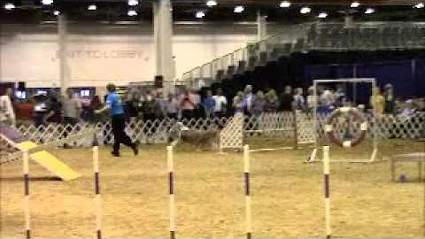 Novice STD title with intro by Connie Hinton