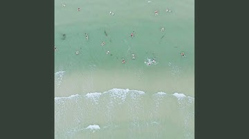 The Unexpected Guest