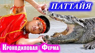 видео: Паттайя. Крокодиловая ферма. Таиланд. картинка: Паттайя. Крокодиловая ферма. Таиланд.
