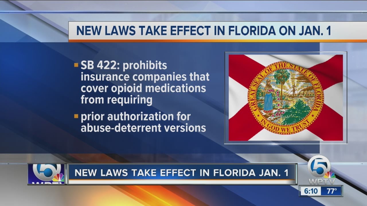 New laws take effect in Florida Jan 1 YouTube