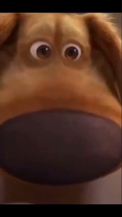 Hai anak anak anjing