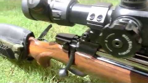 Cover Image for My CZ-550 at 300m