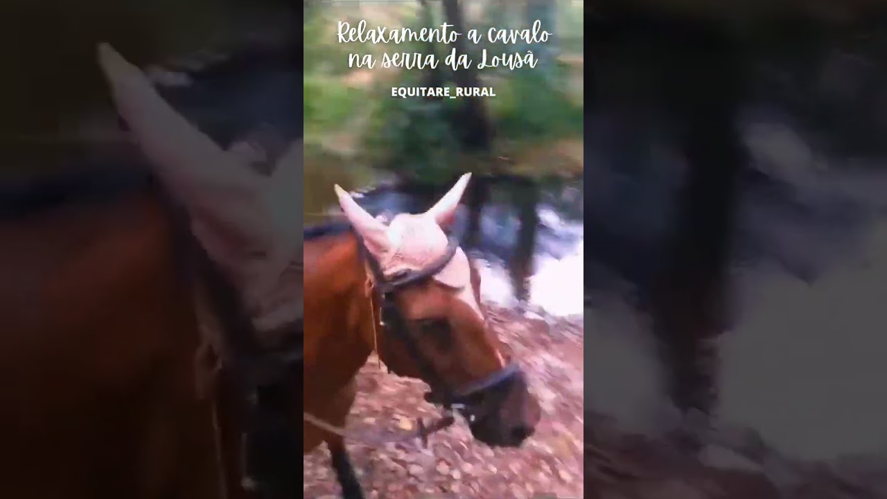 Relaxamento a cavalo na serra da Lousã con Equitare Rural