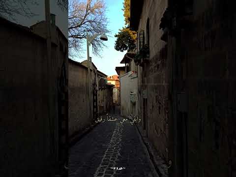 سيري معي طول الطريق