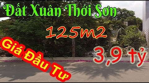 130m2 Đất Xuân Thới Sơn Hóc Môn Mặt tiền Đường Giá Chỉ Có 3,9 Tỷ | Đất Xuân Thới Sơn