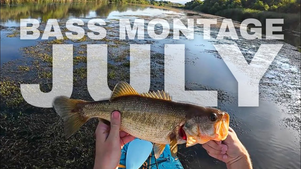 BIG Hungry Summer Bass in AZ! | July | Ep. 4