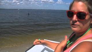 BARNEGAT PROMO LOOP