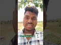 Agribusiness Internship Experience | Ankit Kumar’s Journey with VNR Seeds