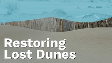 Coastal Protection Against Climate Change: Restoring Sand Dunes in Catalonia