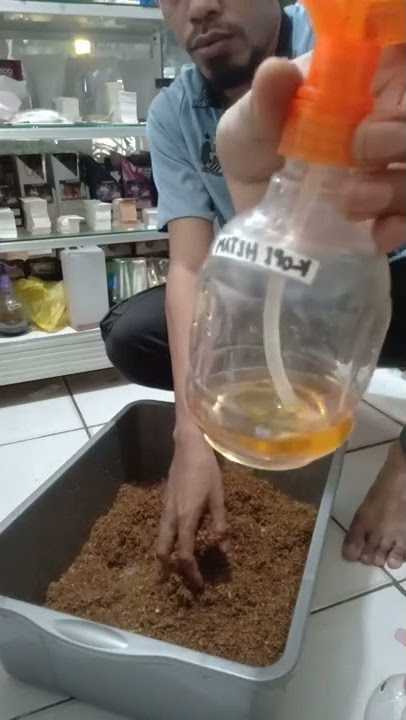 Cara Racik Tembakau Pakai Saos | Saos Tembakau Aroma Kopi