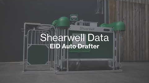 Shearwell Data EID Sheep Automatic Drafting Crate