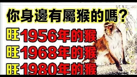 你身邊有屬猴的嗎？1956年，1968年，1980年的生肖猴，一生一世的命運神准 | 星座生肖 - 天天要聞