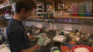 Decoding Synthetic Biology - Kqed Quest