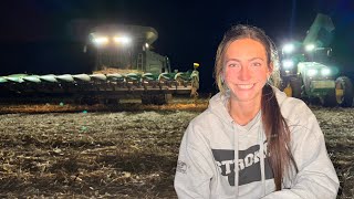 Harvesting Corn At Night