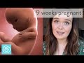 9 Weeks Pregnant: What You Need To Know - Channel Mum