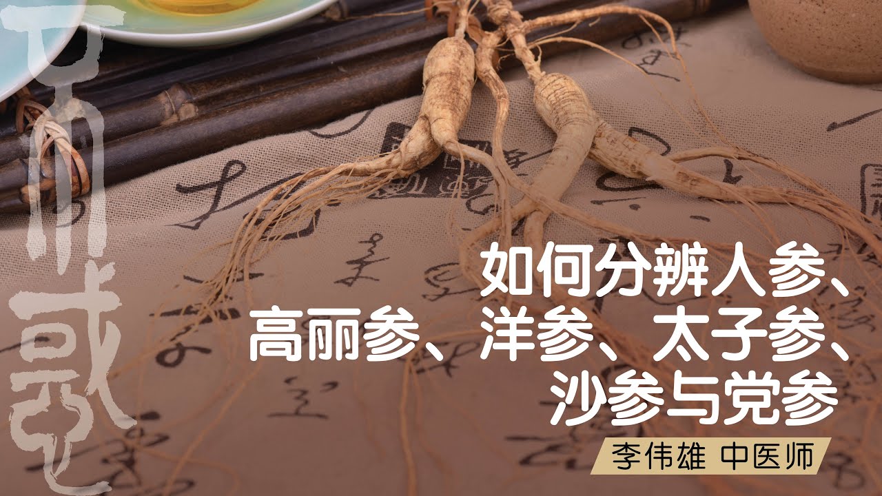 健康 李伟雄医师 如何分辨人参 高丽参 洋参 太子参 沙参与党参 Youtube 健康 李伟雄医师 如何分辨人参 高丽参 洋参 太子参 沙参与党参 Youtube