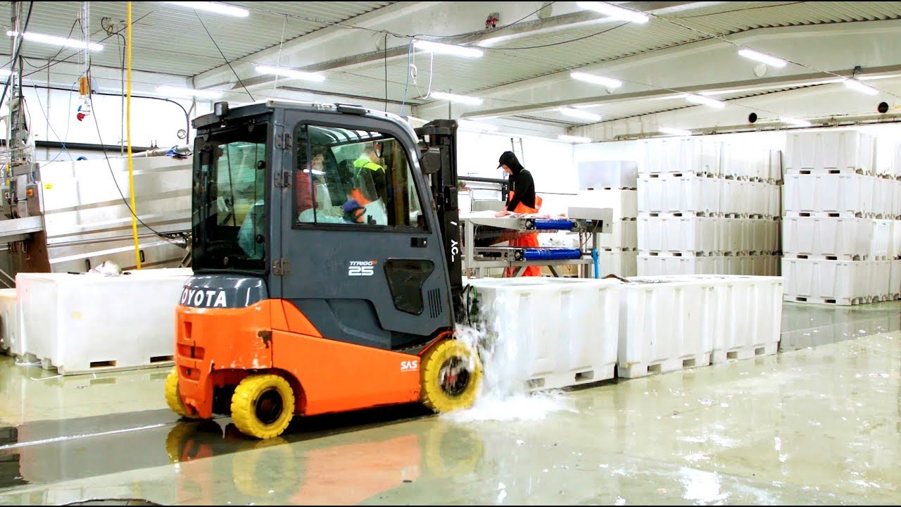 Fiskeritrucker Toyota Material Handling Norway YouTube