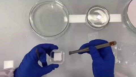 Trivial Transfer® hexagonal boron nitride (TThBN) User Guide 2022