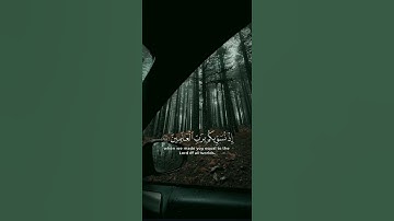 اكتب شي تؤجر عليه ♥😴____القارئ_احمد_النفيس