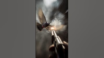 “Perfect Shot in Slow Motion 🕊🔥 | Epic Bird Shotgun Moment #shorts #ai #pigeon #fire