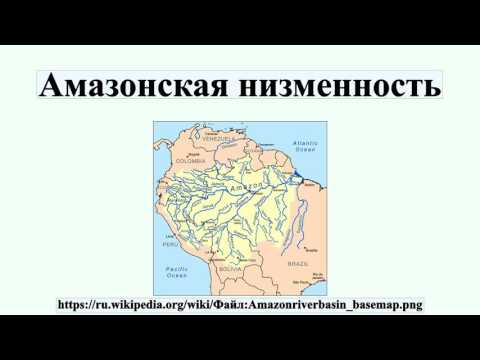 Амазонская низменность