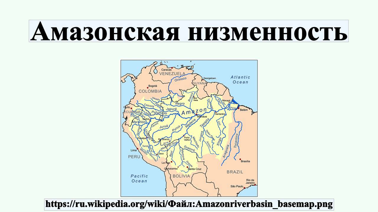 Какие крупные города находятся на амазонской низменности. Амазонская низменность на карте. Равнина Амазонская низменность на карте. Амазонская низменность на физической карте Южной Америки. Где находится Амазонская низменность на контурной карте.