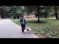 Утренняя прогулка в парке / Morning walk in the park