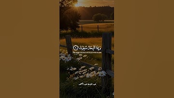 إذا الشمس كورت | عبد الباسط عبد الصمد | سورة التكوير