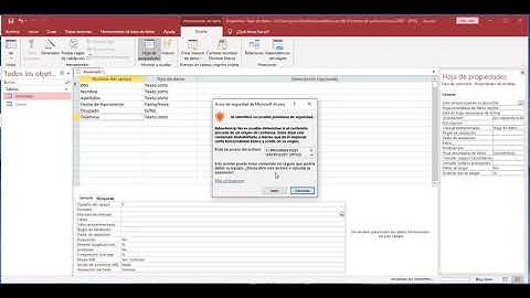 Access: Máscaras de entrada