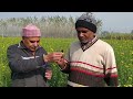Complete information about co-cropping of mustard with ashoji sugarcane. Get more profit from just 1 acre of land. Mp3 Song