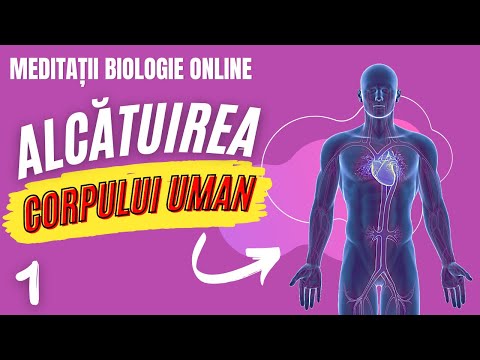 Video: Despre ce este cursul de biologie umană?