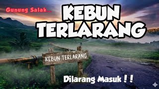 The journey to the FORBIDDEN GARDEN of Mount Salak Road to the Holipet Kabandungan Sukabumi Parak...