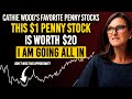 According To Cathie Wood&#39;s Formula Top 3 Penny Stocks To 10x Your Money In 6 Months, Get In ASAP