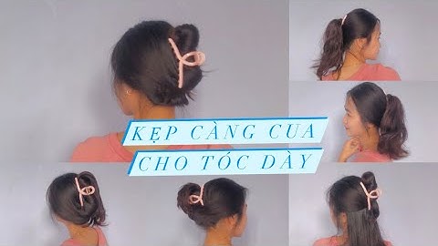 Kẹp tóc càng cua cho tóc Dày và dàii nhé | Quindien1658