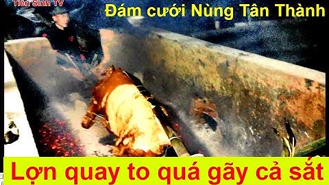 Đám cưới người nùng Tân Thành #1 - Lợn quay to quá gãy cả cây sắt | Tiên Sinh TV