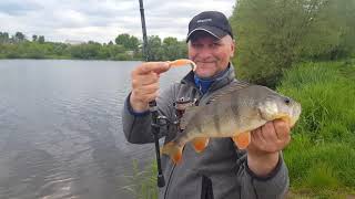 #blackbaits online  Breaden Glamour Rock Fish Trevalism Kabin