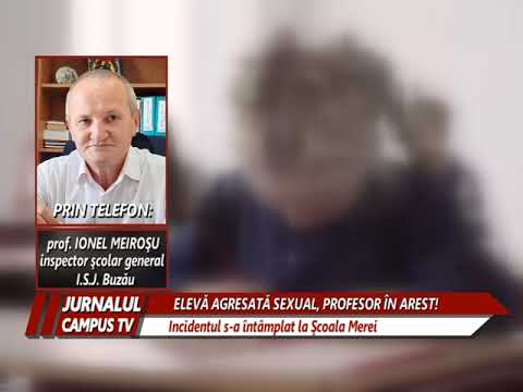 Video: Profesor Arestat Pentru Că A Abuzat Sexual