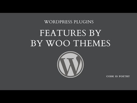WordPress Plugins: Features by Woo Themes