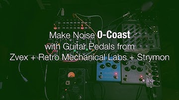 Make Noise 0-Coast + Guitar Pedals from Zvex, Strymon, Retro Mechanical Labs