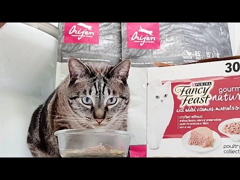 Unboxing New Purina Fancy Feast Gourmet Naturals Poultry & Beef Collection Wet Cat Food Variety Pack