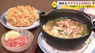 濃厚なうまみと甘み！新鮮なサクラエビを堪能　漁期しか味わえない料理も　静岡・由比港