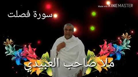 سورة فصلت =هديتى الى ارواح امواتكم اخوانى واخواتى الاطهار=ملا صاحب العبيدى