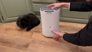 Automatic Cat Feeder, Faroro Dog Food Dispenser for Small Pets with Distribution Alarms Review