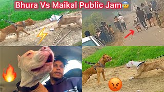 Bhura Apna Purane Owner Se Mila Reaction Bhura Vs Maikalroad Jam Hogye
